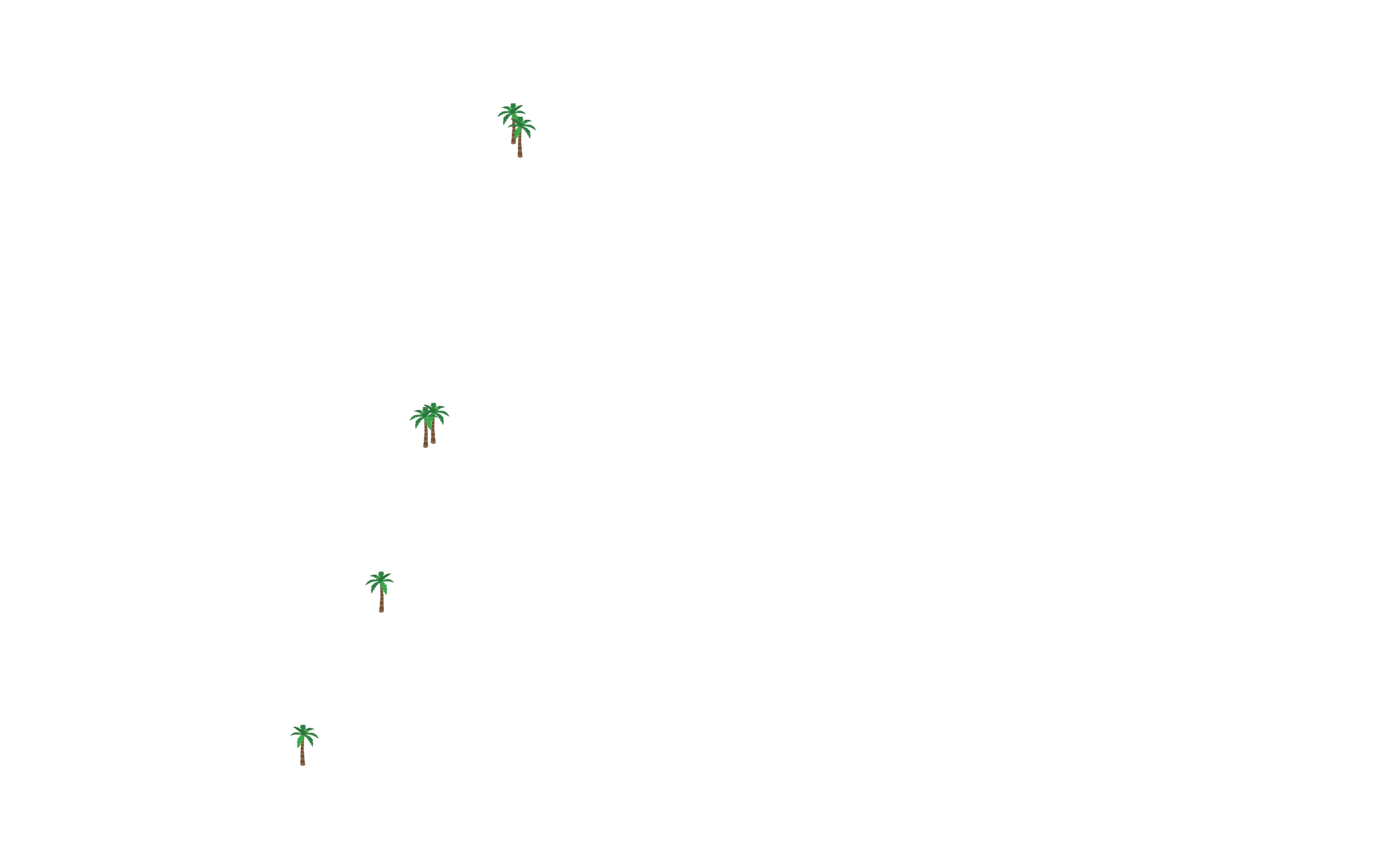 Palm Trees